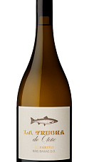 Producto: La Trucha de Otoño 2017
