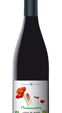 Producto: Camille Cayran L'insouciante 2020