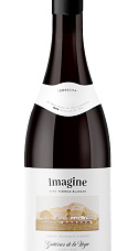 Producto: Imagine 2020