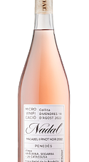 Producto: Nadal Macabeu Pinot Noir 2022