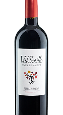 Producto: Valsotillo Finca Buenavista 2019