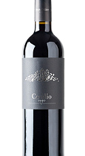 Producto: Cecilio Negre 2022