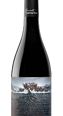 Producto: Garnacha Perdida del Pirineo 2021