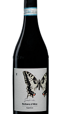 Producto: Camparo Sarà Barbera d'Alba 2020