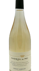 Producto: Andrea di Pec Collavini Pinot Grigio 2023