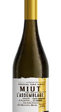 Producto: Miut L Assemblage 2021