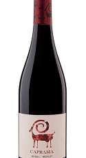 Producto: Caprasia Roble 2023