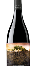 Producto: Garnacha Olvidada de Aragón 2022