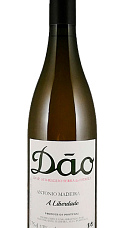 Producto: António Madeira A Liberdade 2022