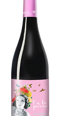 Producto: En la Parra Tinto 2024