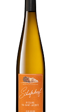 Producto: Schieferkopf Riesling Via Saint Jacques 2019