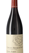 Producto: Louis Jadot Coteaux Bourguignons Rouge 2023