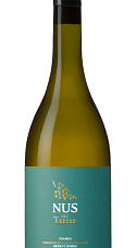 Producto: Nus del Terrer Blanc 2021