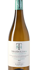 Producto: Trasbolsa 84 2024