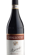 Producto: Cavallotto Barolo Bricco Boschis 2021