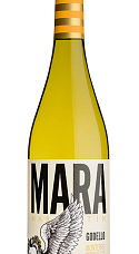 Producto: Mara Martín 2025