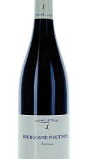 Producto: Jérôme Galeyrand Bourgogne Antonin 2023