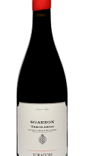 Producto: Foradori Sgarzon Teroldego 2024