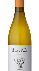 Producto: Laventura Malvasia 2024