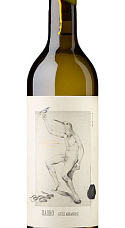 Producto: Marko Gure Arbasoak 2025
