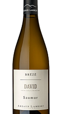Producto: Arnaud Lambert Clos David 2023