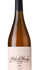 Producto: Tharsys Vendimia Nocturna Rosado 2025
