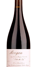 Producto: Foillard Morgon Côte du Py 2024