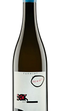 Producto: Beck Furmint Bambule! 2024