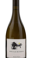 Producto: Bastian Wolber Sous Le Buisson 2024