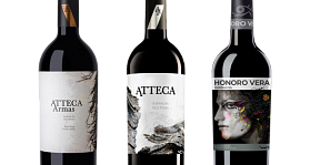 Ateca