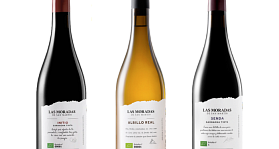 Las Moradas de San Martín