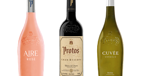 Protos